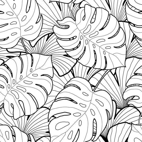 Monstera blanc & noir