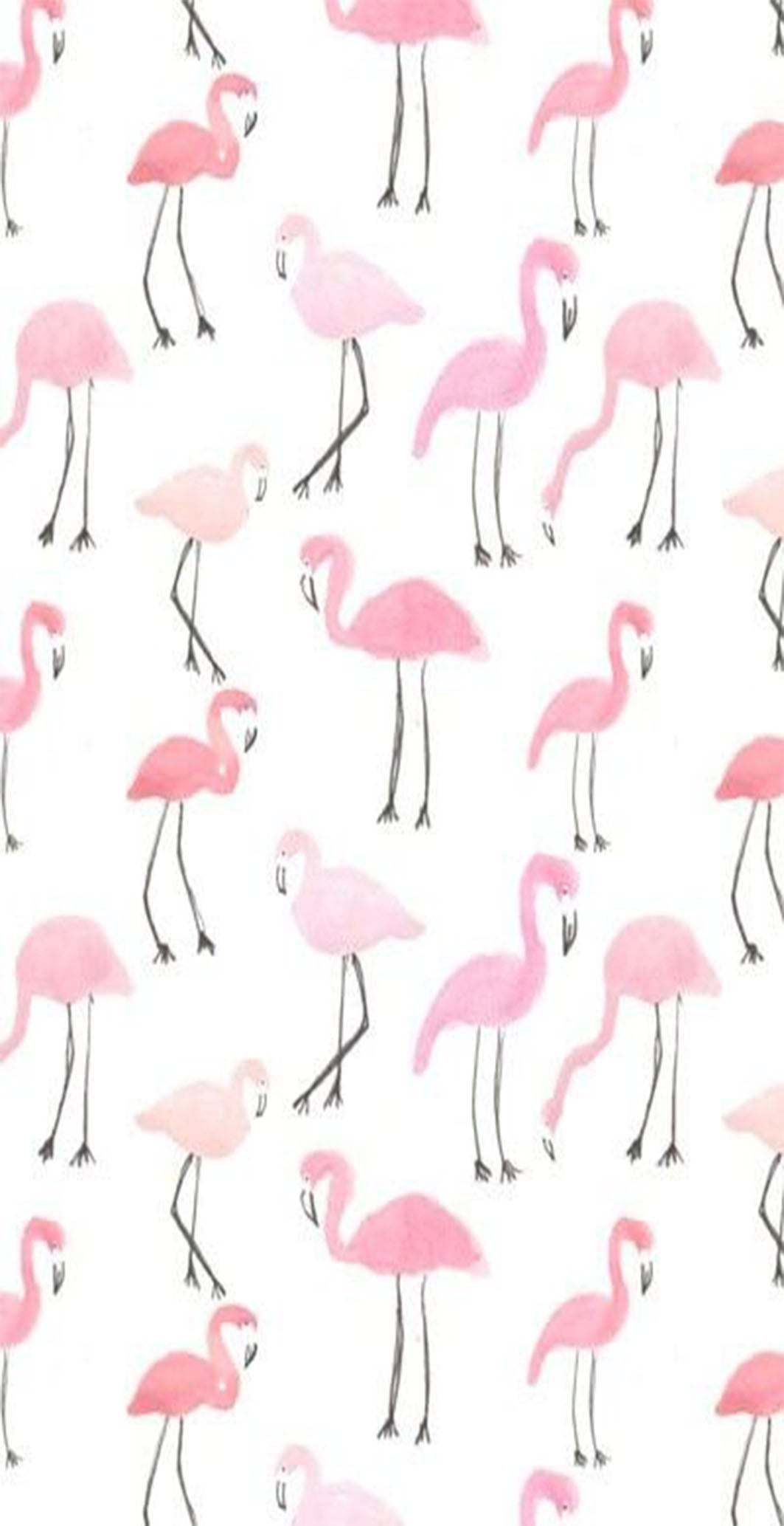 Flamant Rose