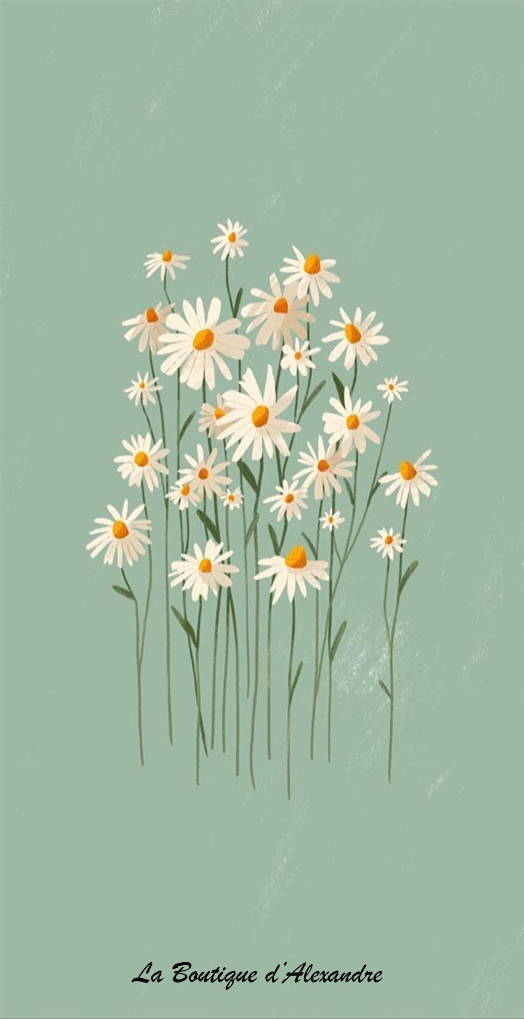 Marguerite