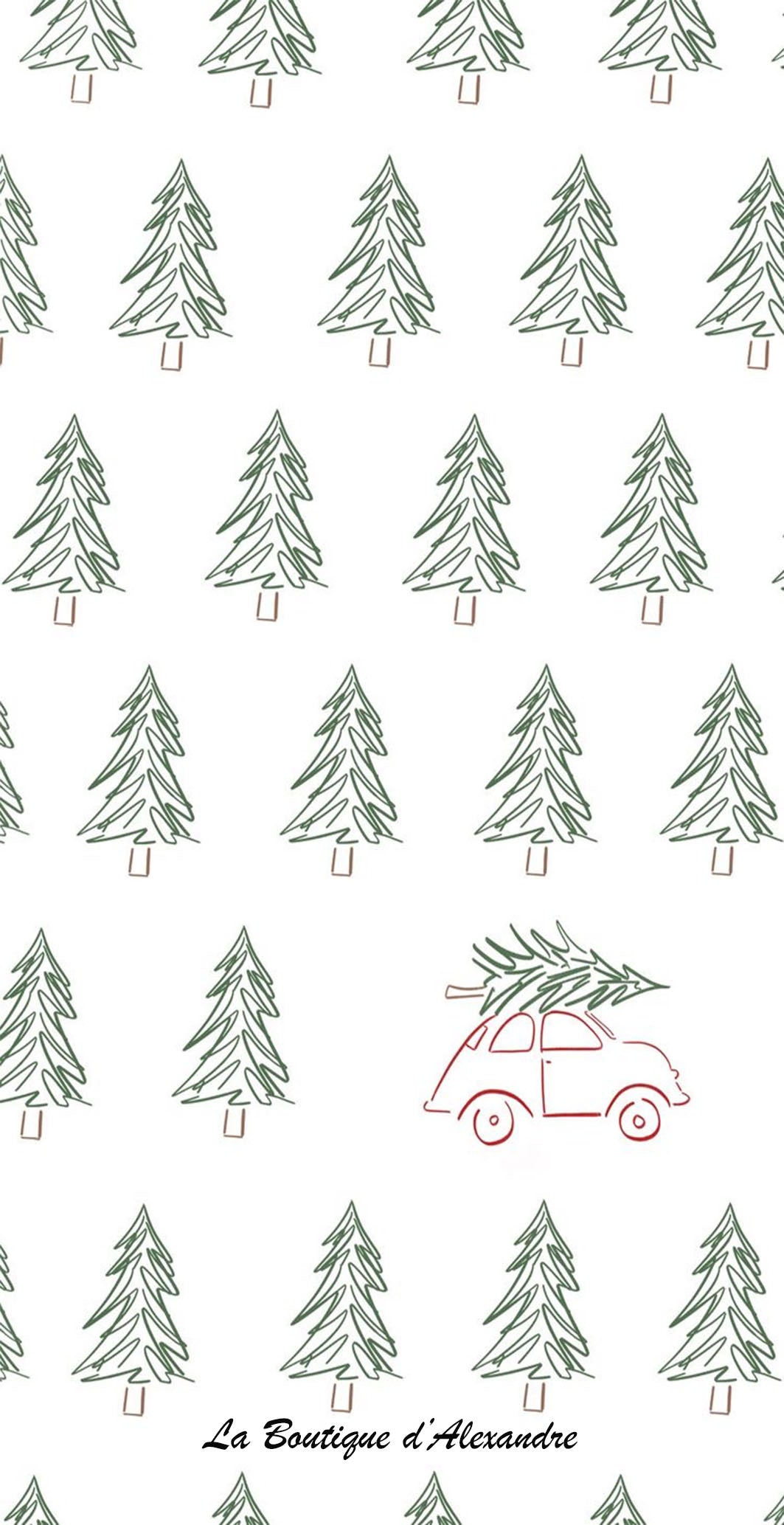 Sapin vert