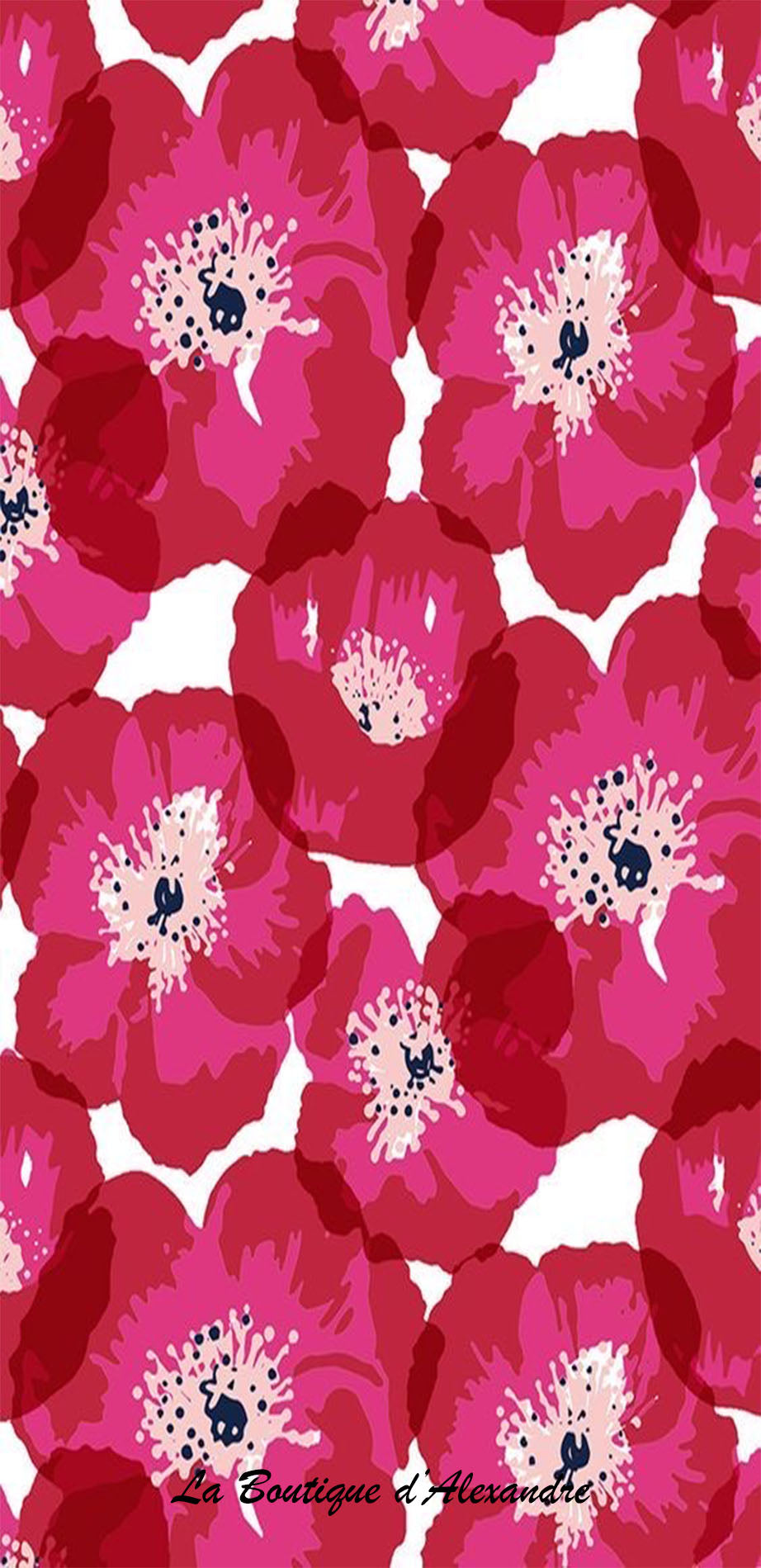 Hibiscus Rose
