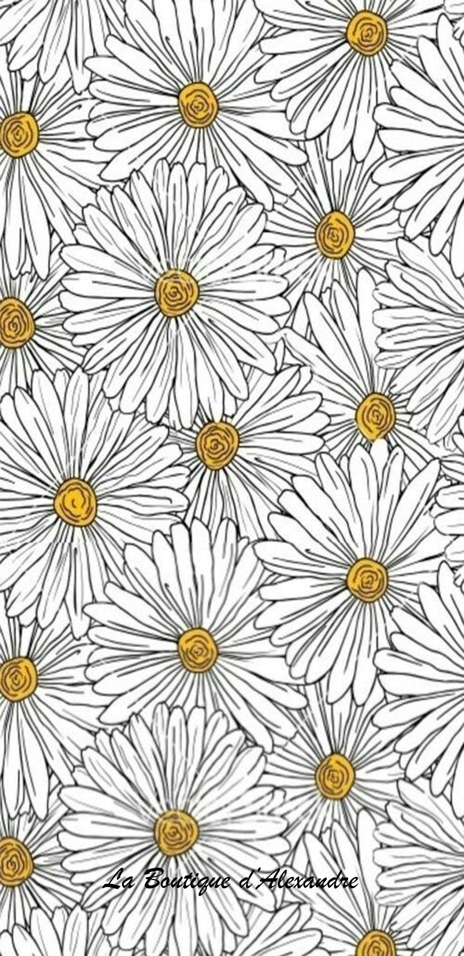 Marguerites