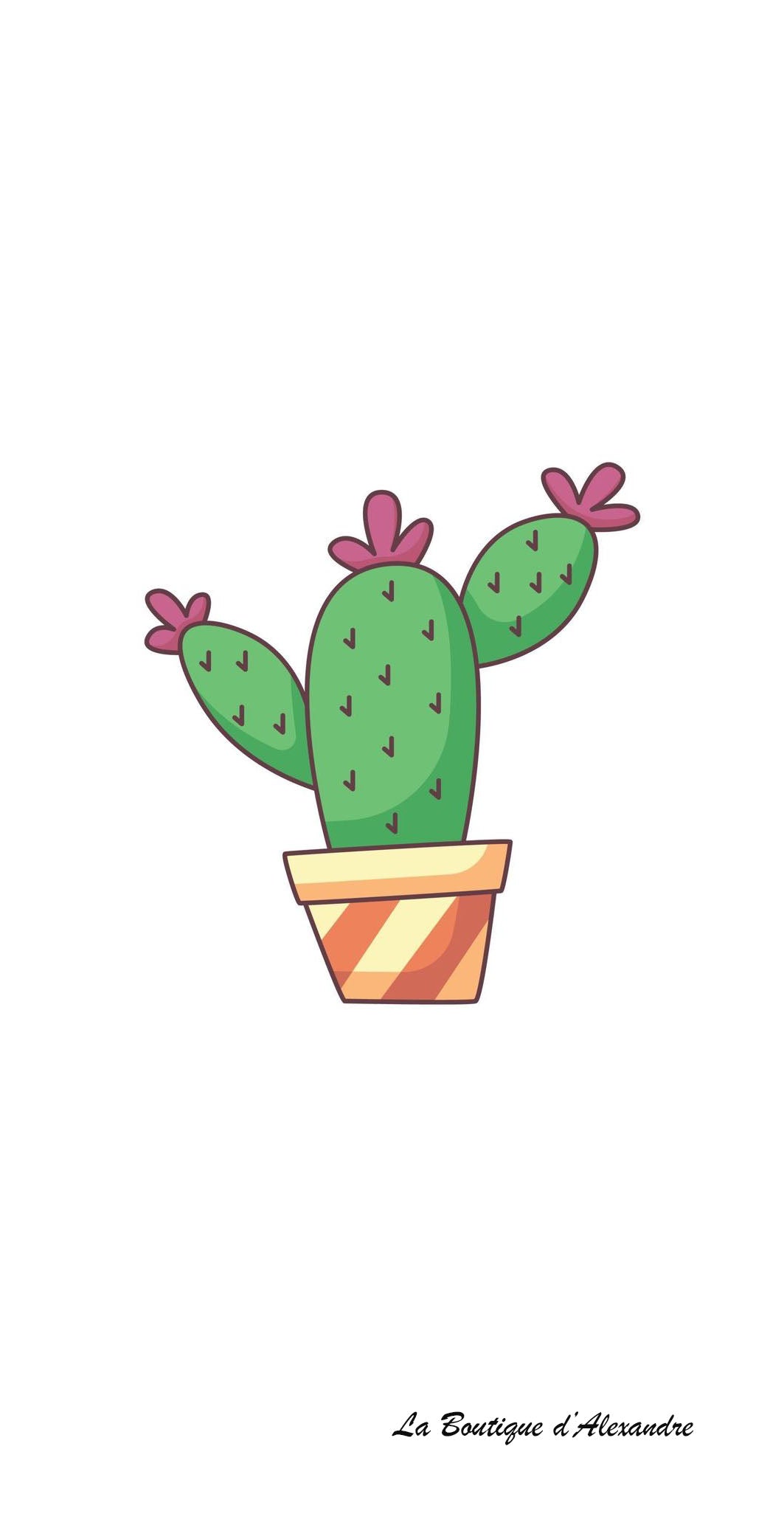 Catcus