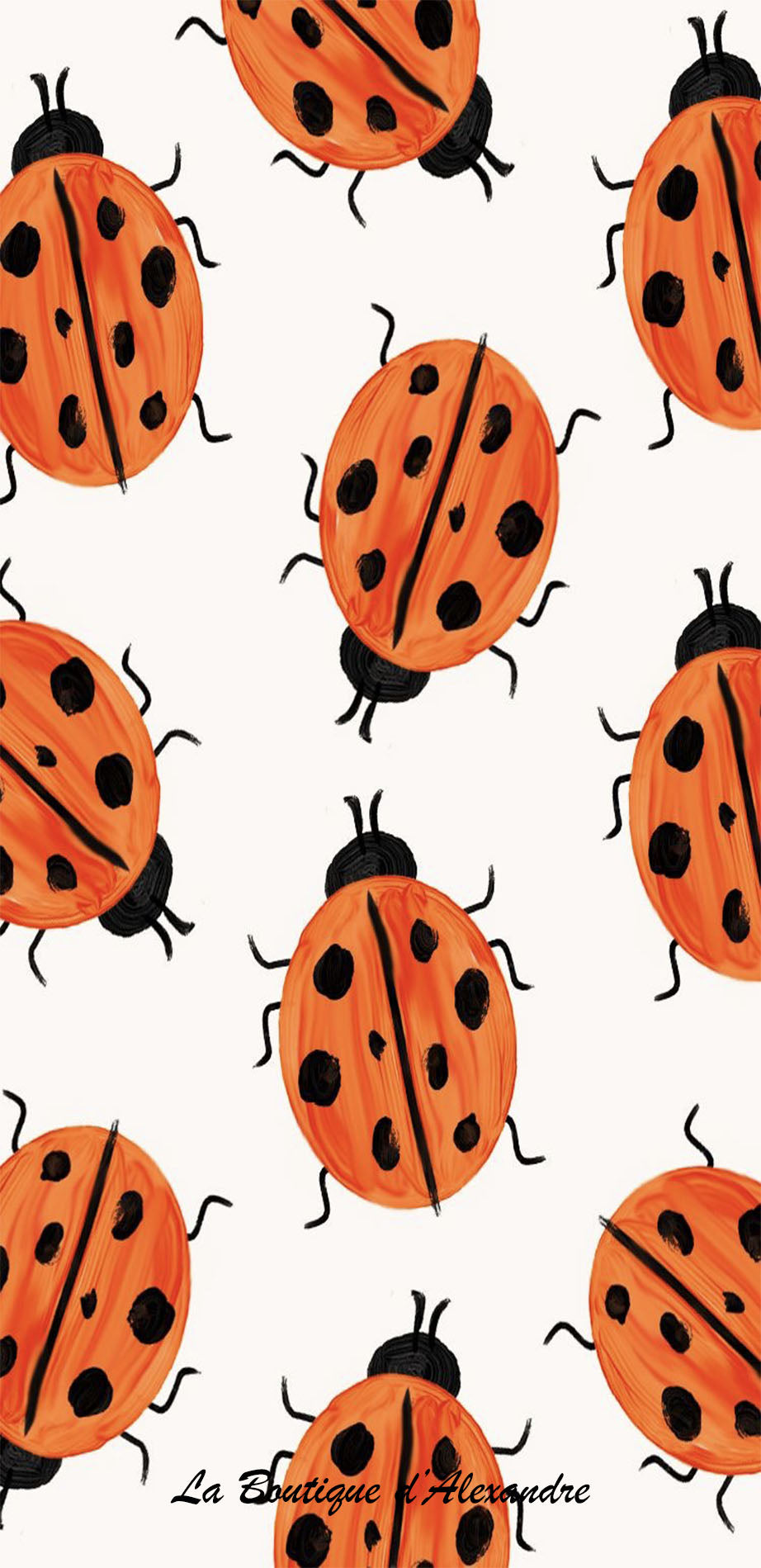 Coccinelles