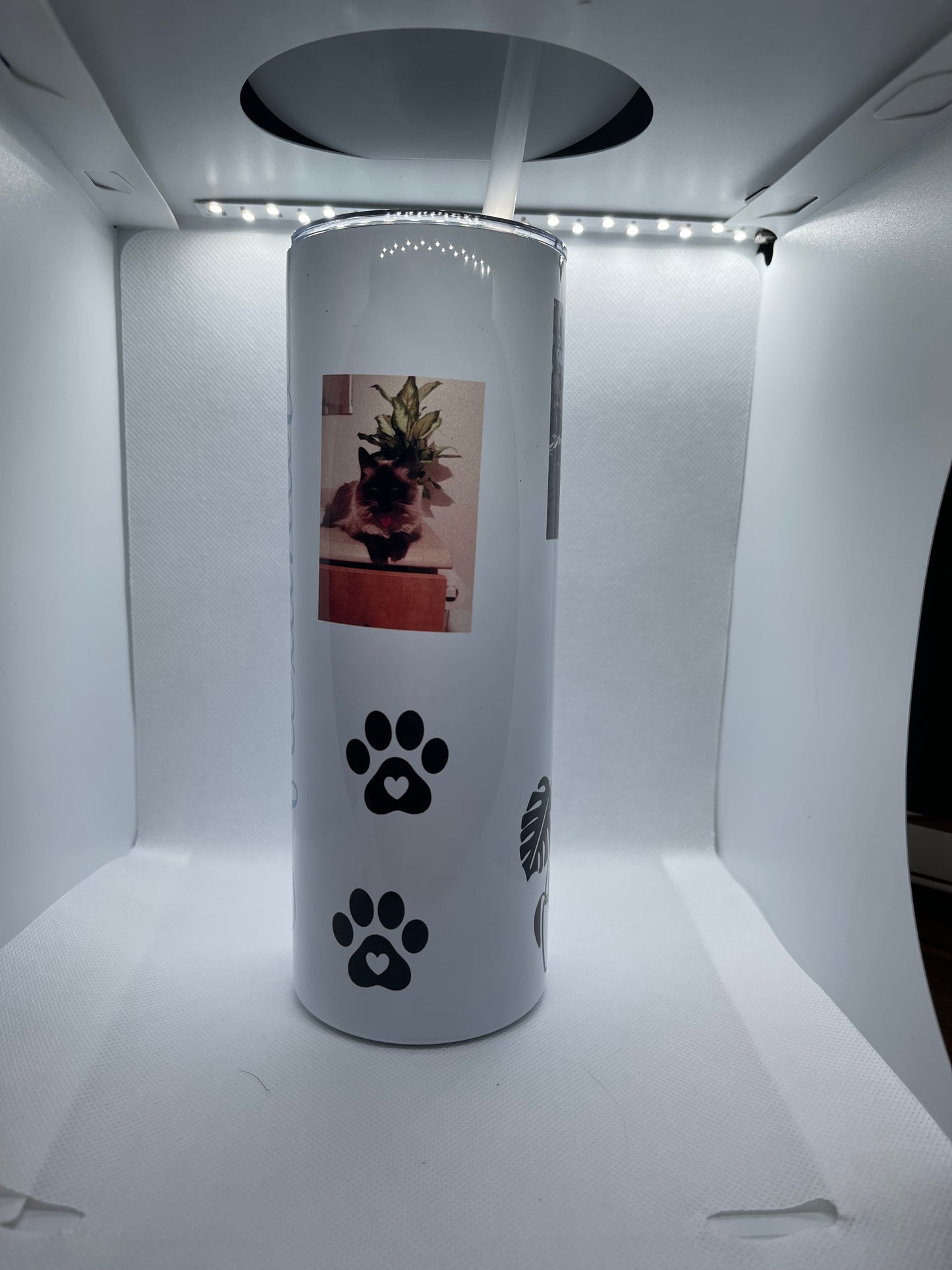 Thermos isothermique à sublimation