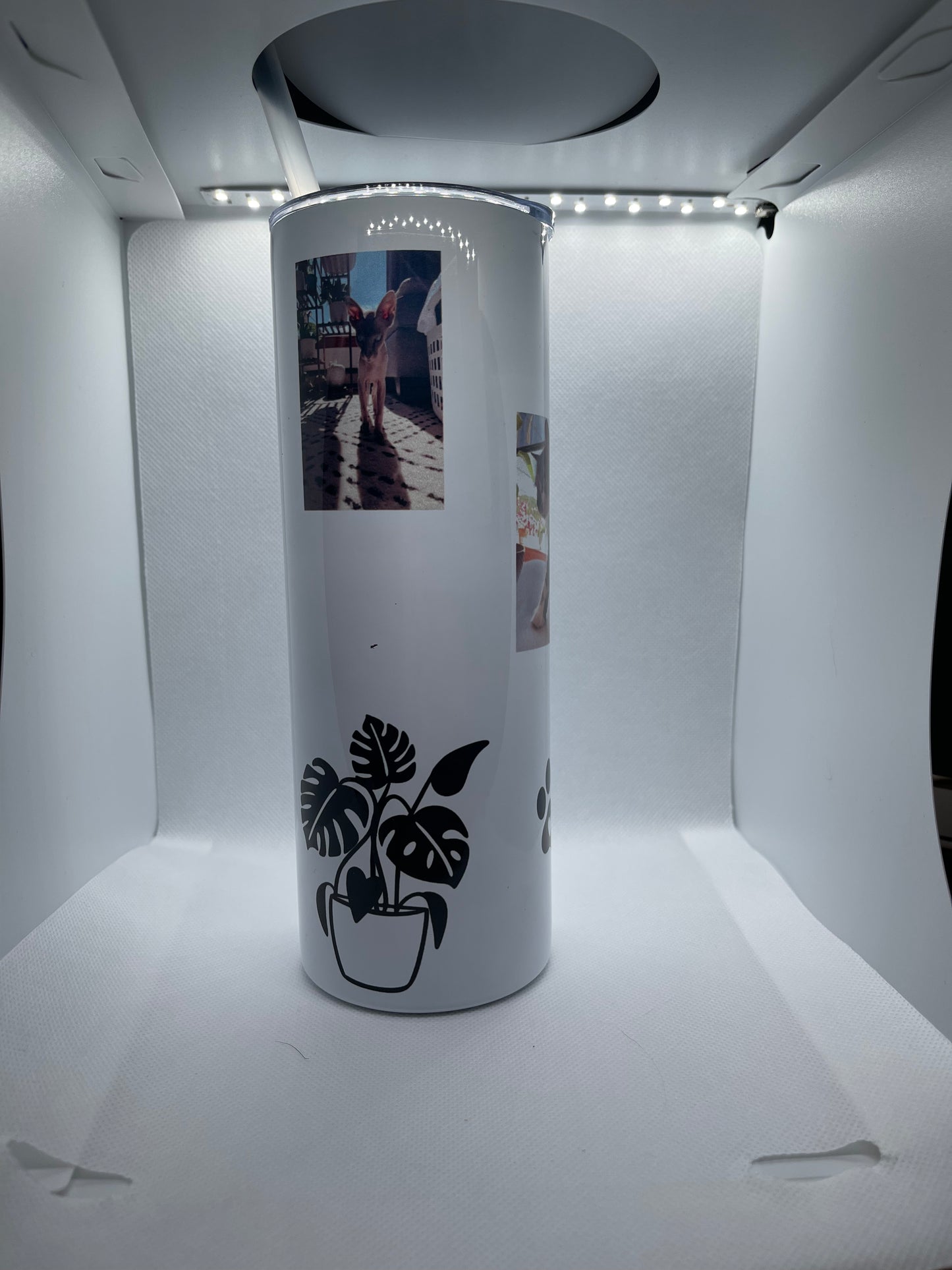 Thermos isothermique à sublimation