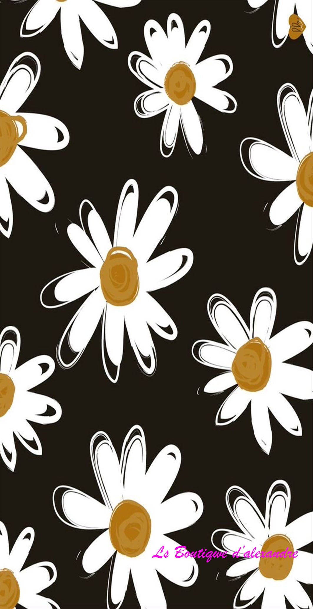 Marguerite blanche sur fond noir
