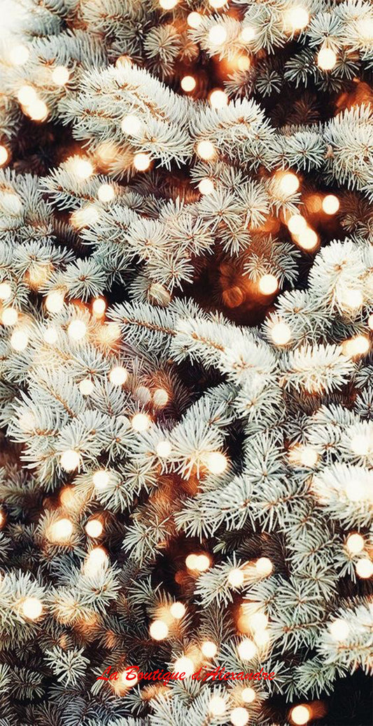 Sapin Sous les lumières