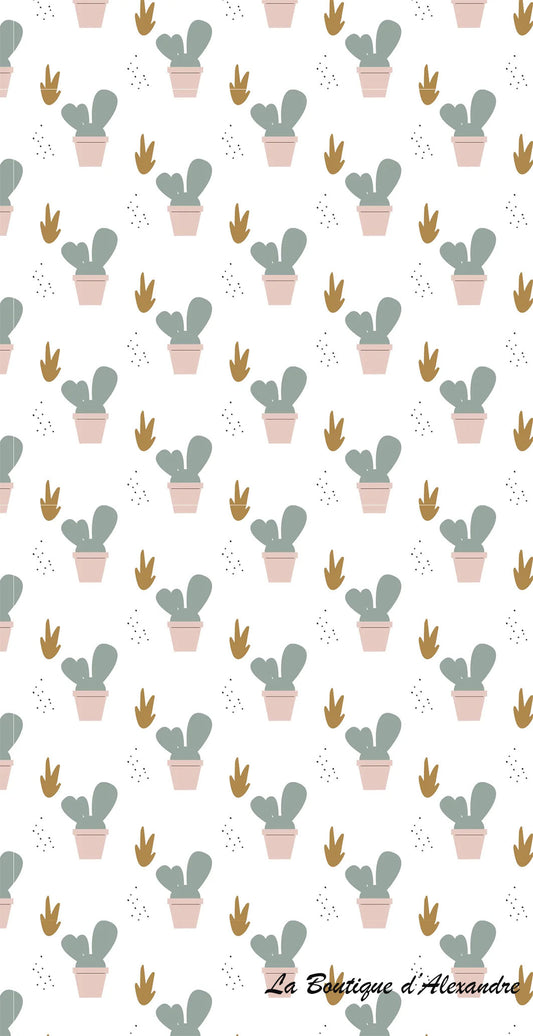 Petit cactus