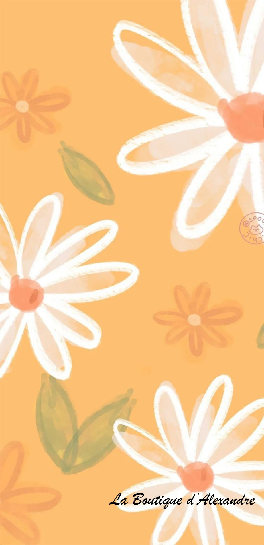 Marguerite sur fond jaune