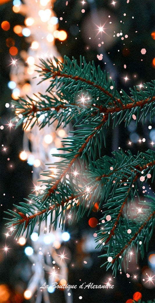 Sapin Brillant