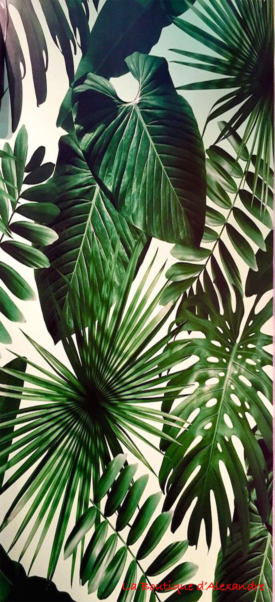 Feuille de plante